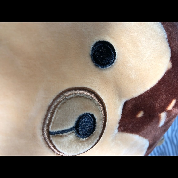 Hans is a hedgehog with a brown body. 7-8 inch - Picture 3 of 8